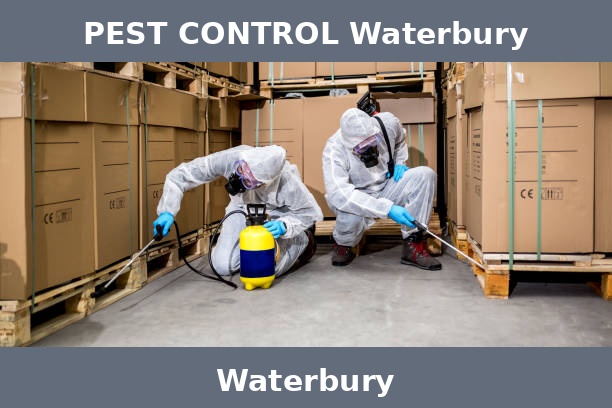 PEST CONTROL Waterbury
